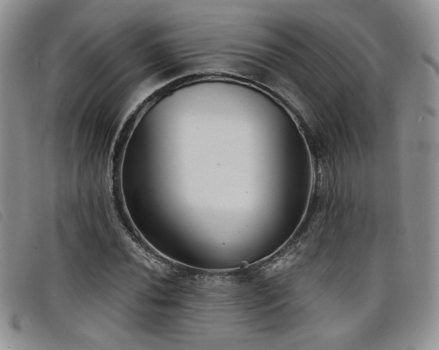X0000098211020200804241316