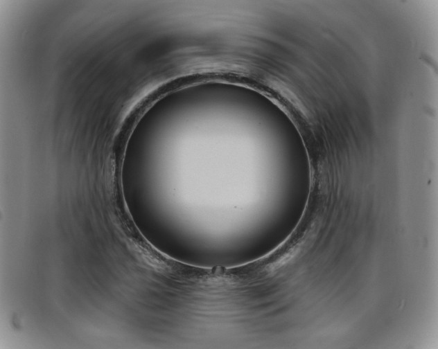 X0000098211021200804241316