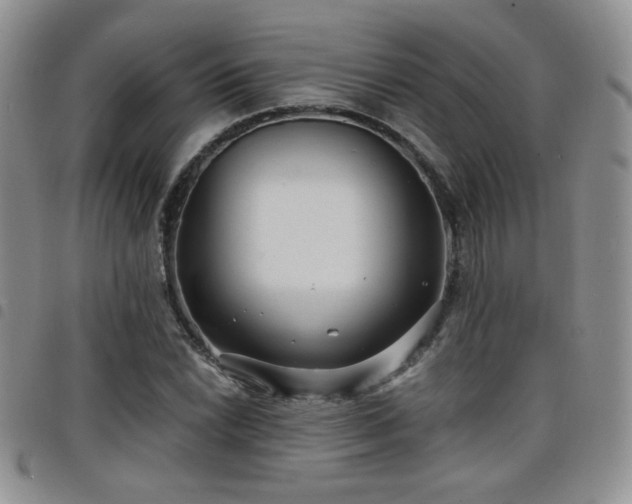 X0000098211022200804241316