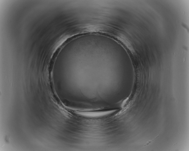 X0000098211023200804241316
