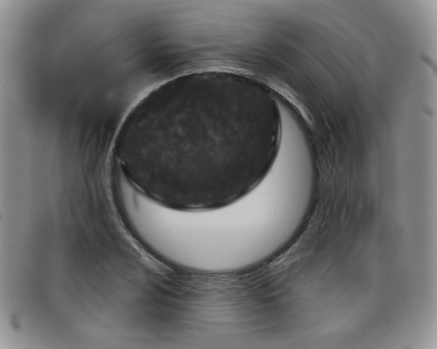 X0000098211024200804241316