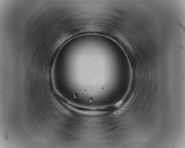 X0000098211025200804241316