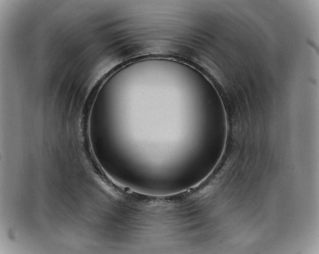X0000098211026200804241316