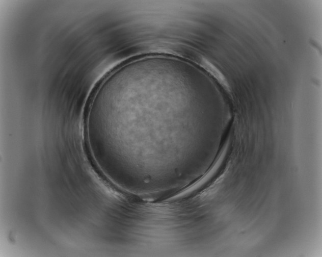 X0000098211028200804241316