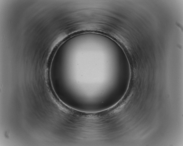 X0000098211029200804241316