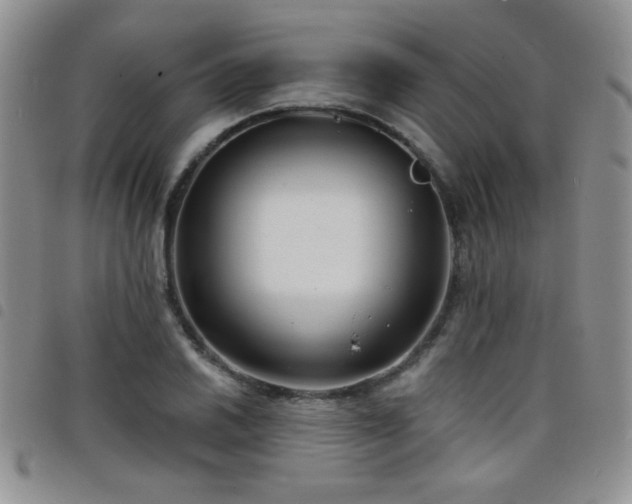 X0000098211030200804241316