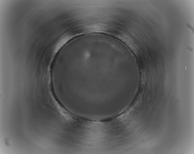 X0000098211031200804241316