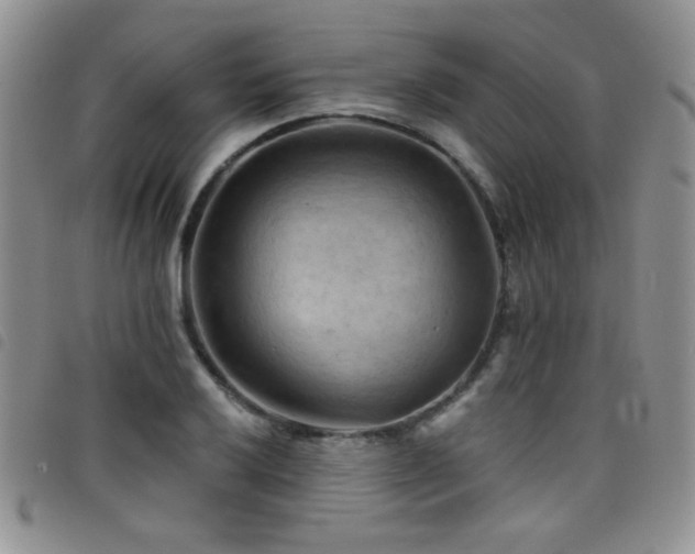 X0000098211032200804241316