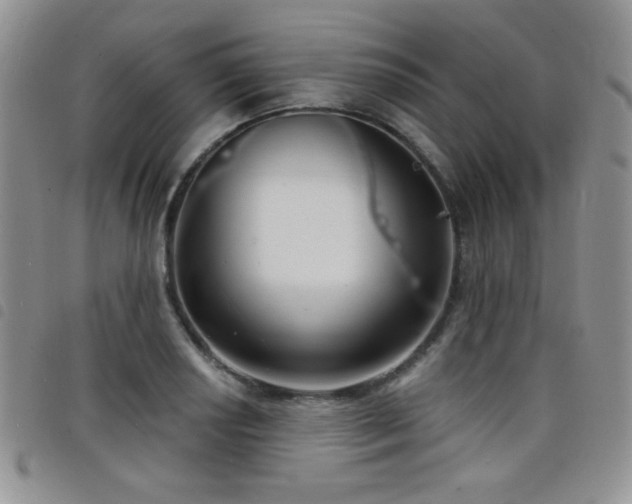 X0000098211034200804241316