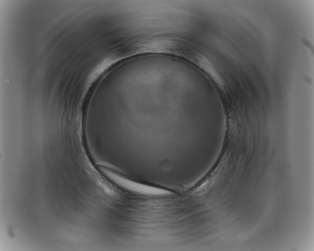 X0000098211035200804241316