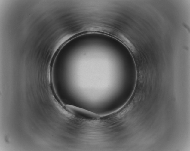 X0000098211036200804241316