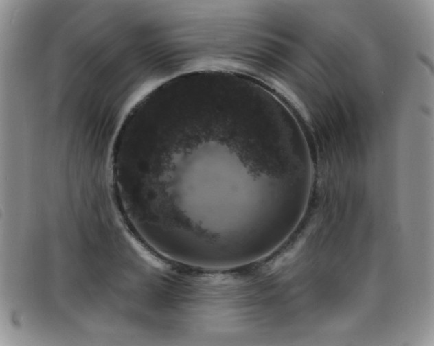 X0000098211037200804241316