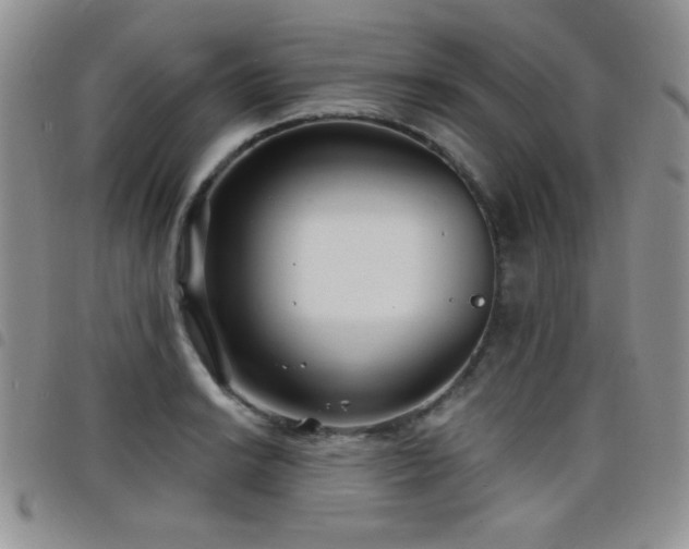 X0000098211038200804241316