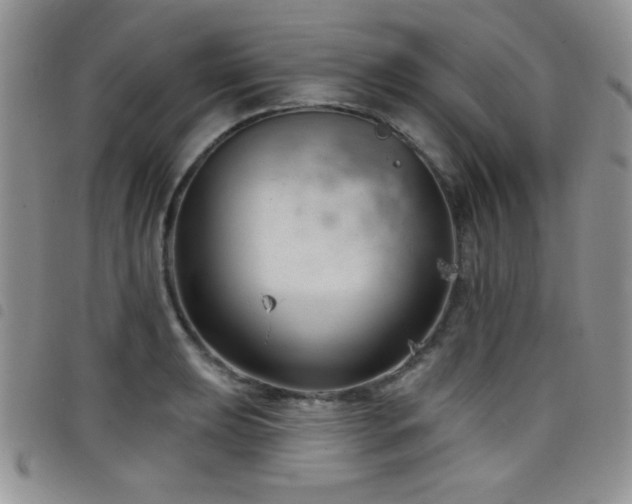 X0000098211039200804241316