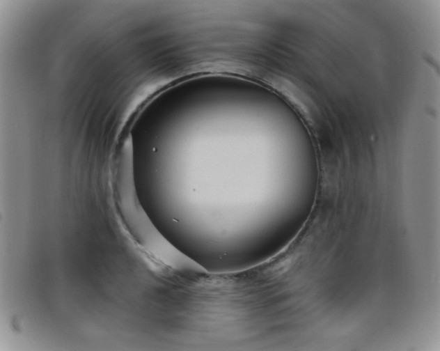 X0000098211040200804241316