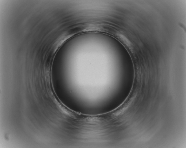 X0000098211041200804241316