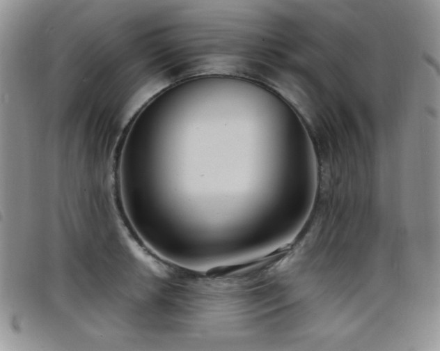 X0000098211042200804241316