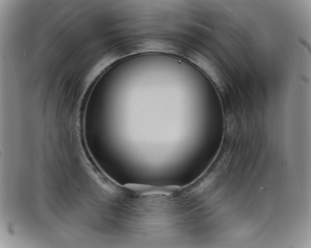 X0000098211043200804241316