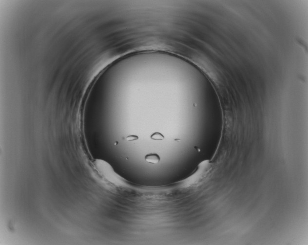 X0000098211044200804241316