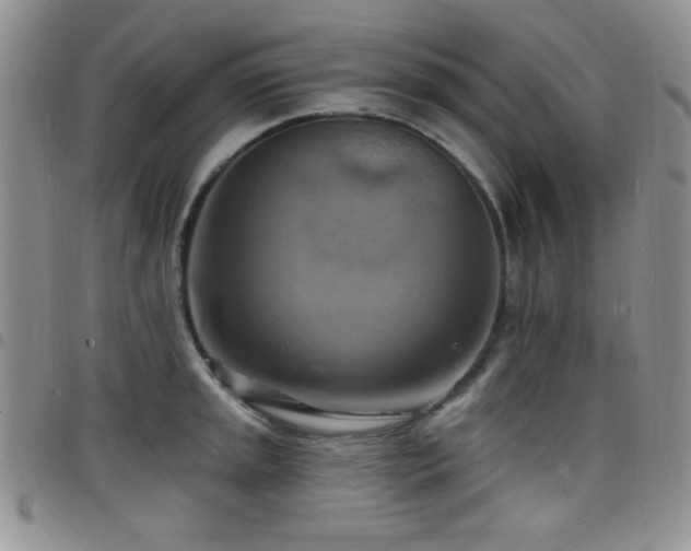 X0000098211045200804241316