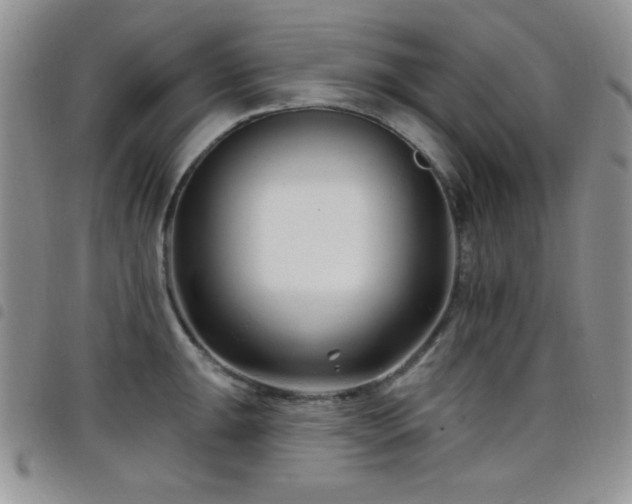 X0000098211047200804241316