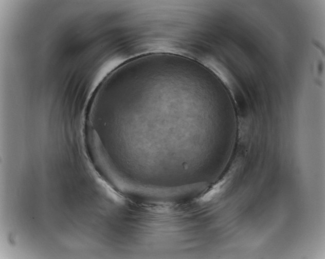 X0000098211048200804241316
