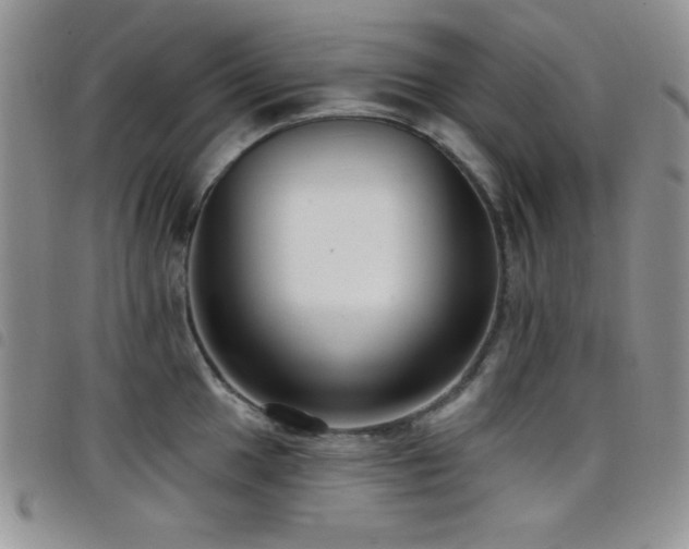 X0000098211049200804241316