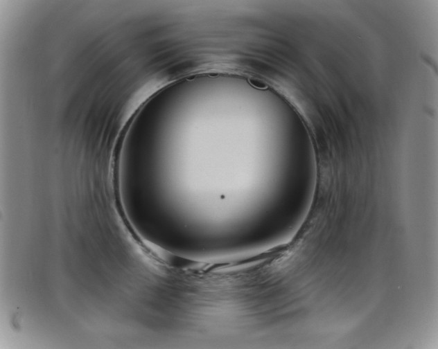 X0000098211050200804241316