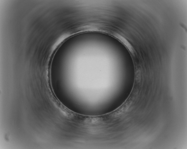 X0000098211051200804241316