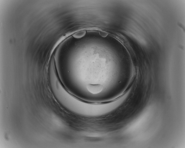 X0000098211052200804241316