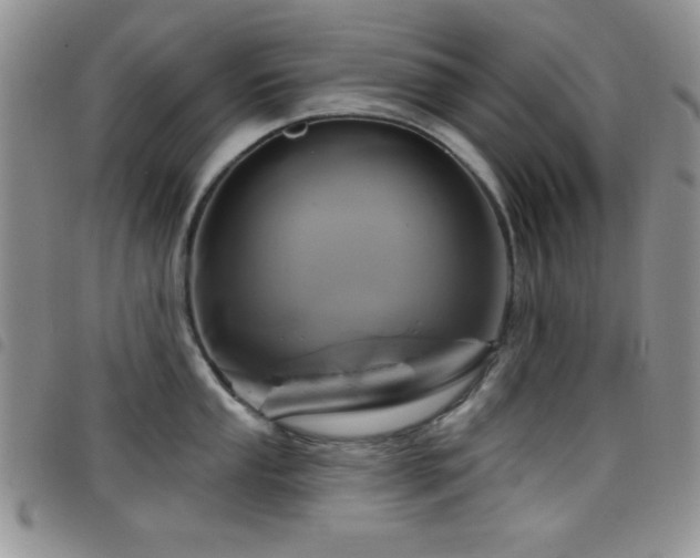 X0000098211053200804241316