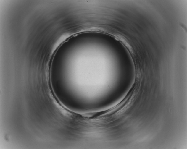 X0000098211054200804241316