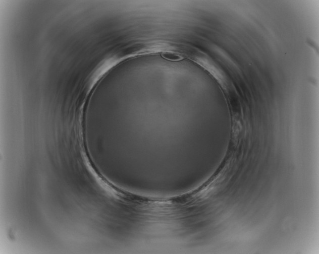 X0000098211055200804241316