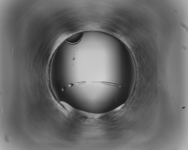 X0000098211056200804241316