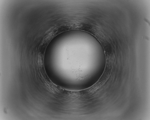 X0000098211058200804241316