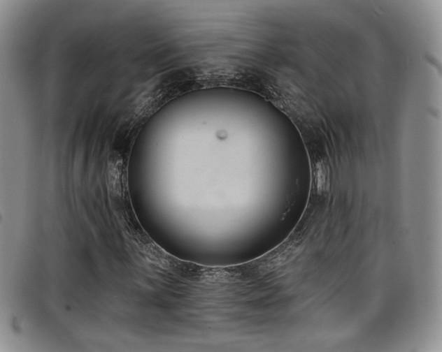 X0000098211059200804241316