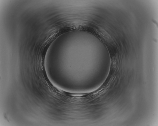 X0000098211060200804241316