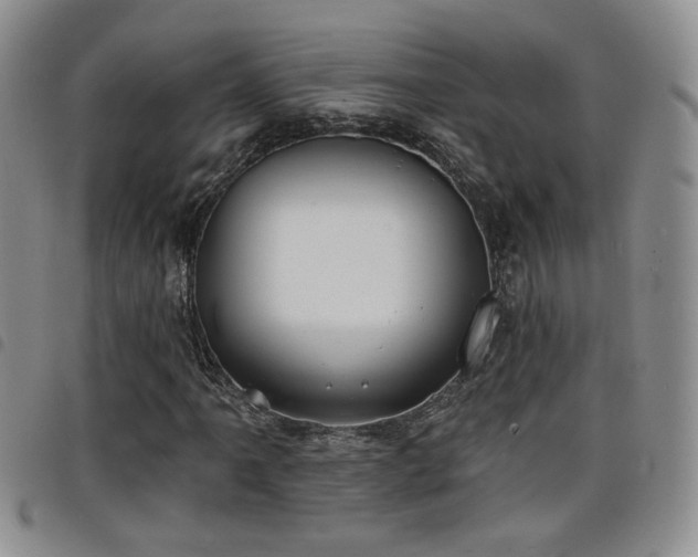 X0000098211061200804241316