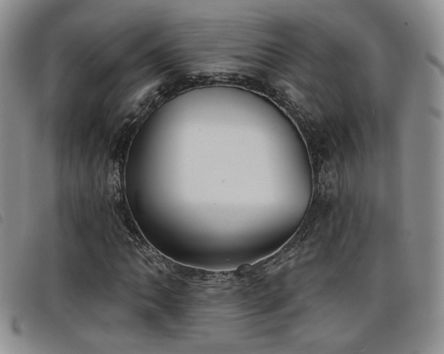 X0000098211062200804241316