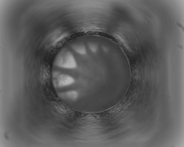 X0000098211063200804241316