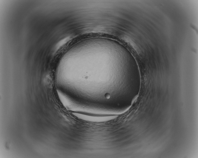 X0000098211064200804241316