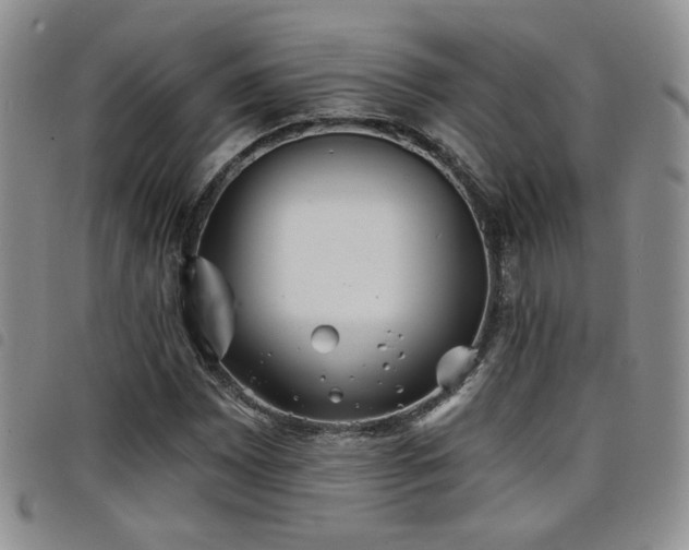 X0000098211065200804241316