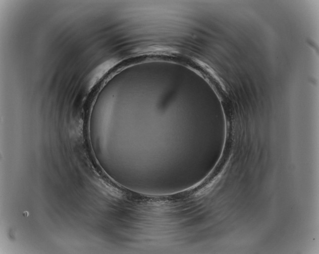 X0000098211066200804241316