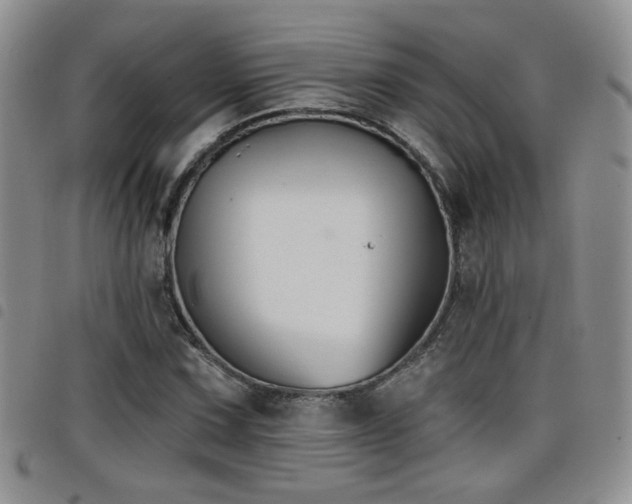 X0000098211067200804241316