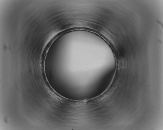 X0000098211068200804241316