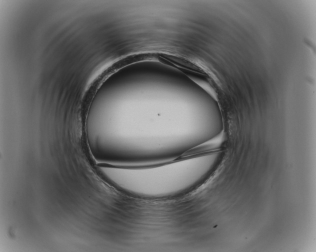 X0000098211069200804241316