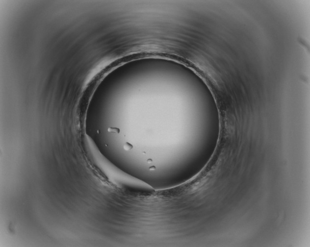 X0000098211070200804241316