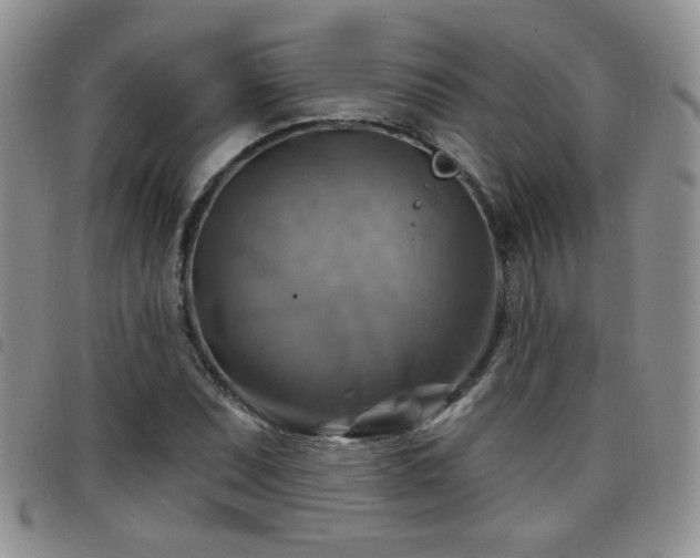 X0000098211071200804241316