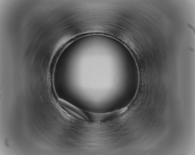 X0000098211072200804241316
