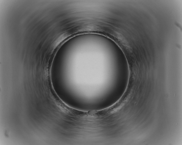 X0000098211073200804241315